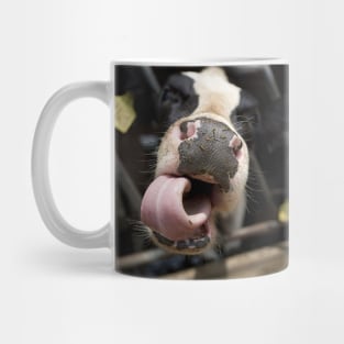 Close Up Of Cow's Nose and Tongue Mug